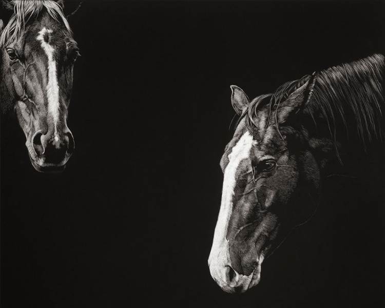 Picture of COWBOY SCRATCHBOARD III