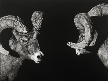 Picture of WILD SCRATCHBOARD I