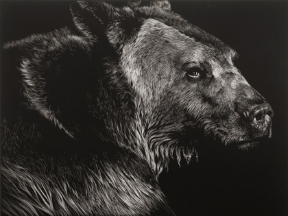 Picture of WILD SCRATCHBOARD II