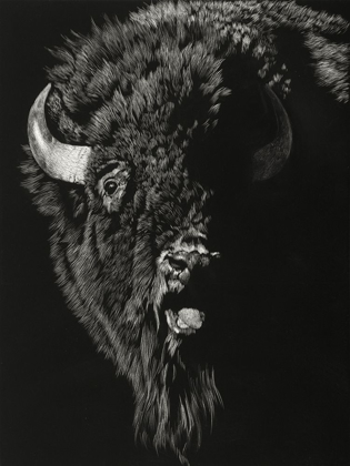Picture of WILD SCRATCHBOARD IV