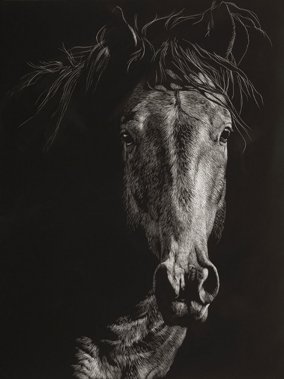 Picture of WILD SCRATCHBOARD VI