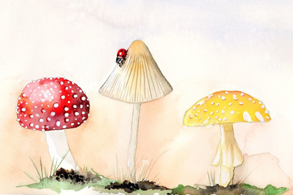 Picture of FAERIE MUSHROOMS I