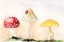 Picture of FAERIE MUSHROOMS I