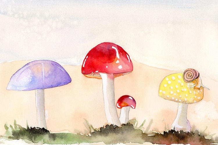 Picture of FAERIE MUSHROOMS II