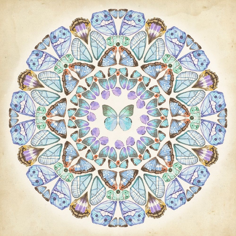 Picture of PROSPERITY MANDALA III