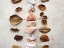 Picture of GIFTS OF THE EARTH V