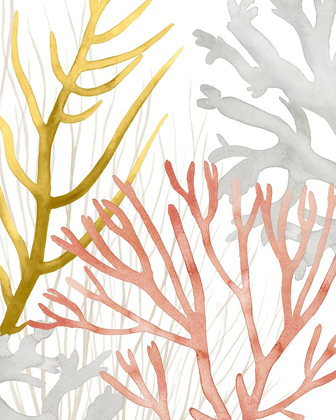Picture of DESERT CORAL II