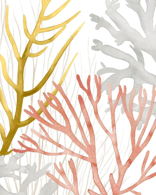 Picture of DESERT CORAL II