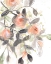 Picture of SHEER BLOSSOMS II