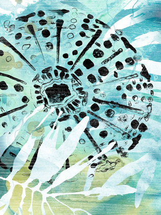 Picture of ECHINOIDIA II