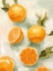 Picture of FRESH CITRUS V