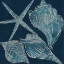 Picture of MARINE SHELLS III