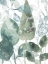 Picture of AQUATIC LEAVES II