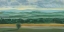 Picture of MISTY MOUNTAIN VIEW II