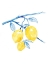 Picture of COBALT LIMON I