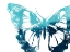 Picture of BUTTERFLY IMPRINT I