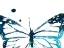 Picture of BUTTERFLY IMPRINT III