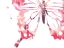 Picture of BUTTERFLY IMPRINT IV