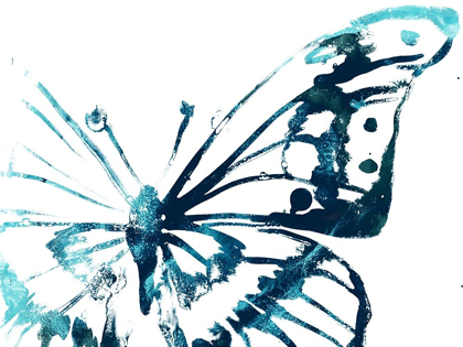 Picture of BUTTERFLY IMPRINT V