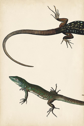 Picture of LIZARD DIPTYCH I
