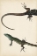 Picture of LIZARD DIPTYCH I