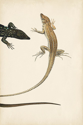 Picture of LIZARD DIPTYCH II