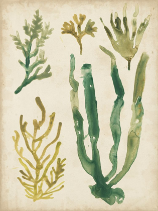 Picture of VINTAGE SEA FRONDS VI