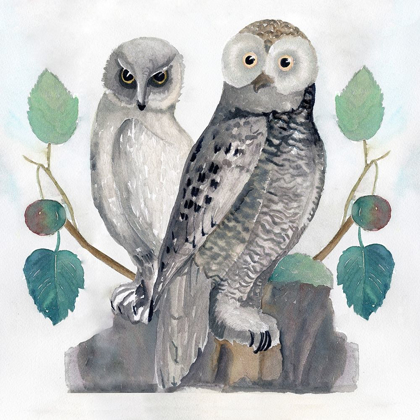 Picture of TRADITIONAL OWLS I