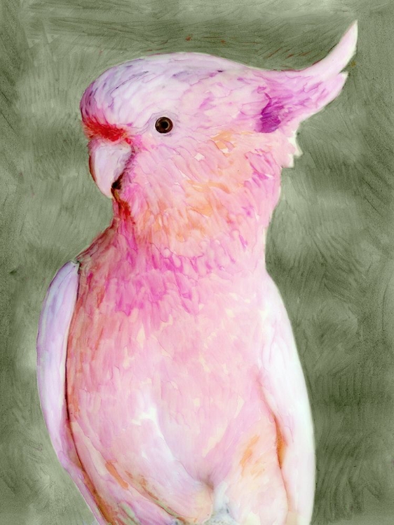 Picture of PALM SPRINGS PARROT II