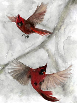 Picture of CARDINALS I
