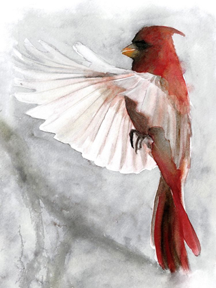 Picture of CARDINALS II