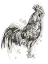 Picture of FEATHERED FOWL III