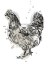 Picture of FEATHERED FOWL IV