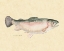 Picture of CATCH OF THE DAY III