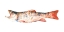 Picture of FRECKLED TROUT I