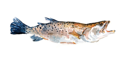 Picture of FRECKLED TROUT II