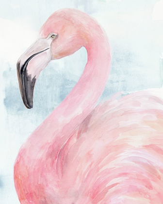 Picture of PINK FLAMINGO PORTRAIT II