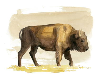 Picture of BISON WATERCOLOR SKETCH I