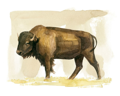 Picture of BISON WATERCOLOR SKETCH II