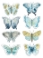 Picture of BUTTERFLY BLUES I