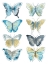 Picture of BUTTERFLY BLUES II