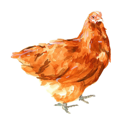 Picture of WILD CHICKEN I