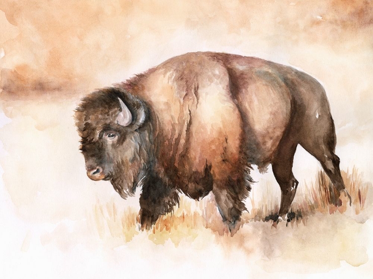 Picture of BUFFALO ROAM I