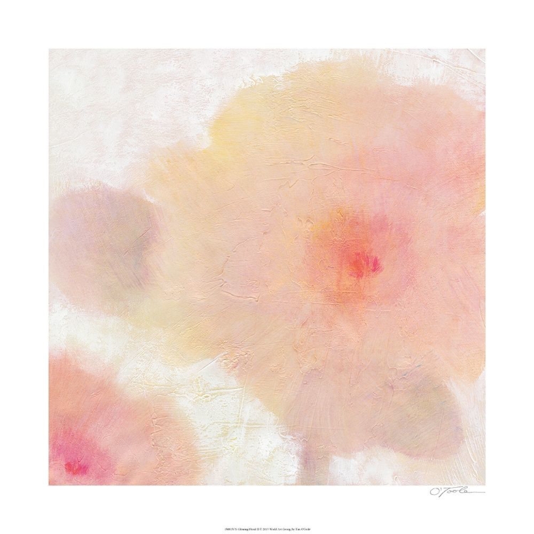 Picture of GLOWING FLORAL II