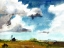 Picture of COUNTRY LIFE II
