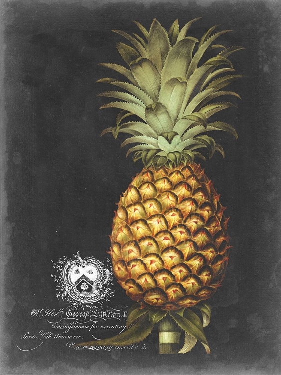 Picture of ROYAL BROOKSHAW PINEAPPLE I