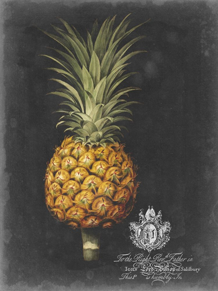 Picture of ROYAL BROOKSHAW PINEAPPLE II