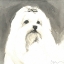 Picture of SEPIA MODERN DOG VIII