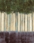 Picture of SUNLIT RAINFOREST I