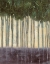 Picture of SUNLIT RAINFOREST II